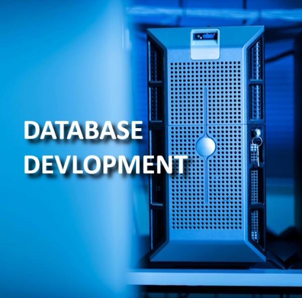 Database Development