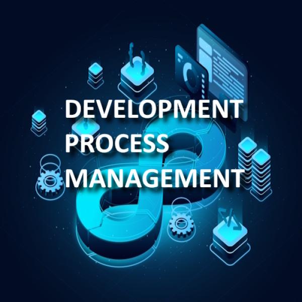 Development Process Management